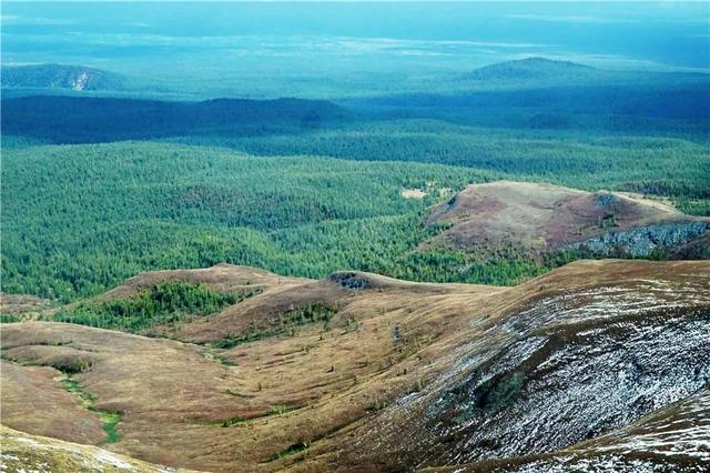 吉林 长白山 遍地倒木 原始森林里的 鲸落万物生 Zh中文网