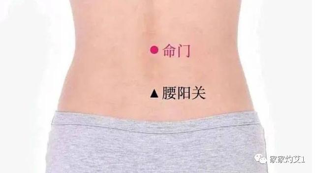 二十四节气灸｜清明艾灸，除湿气，发阳气，调达肝胆，强健脾胃