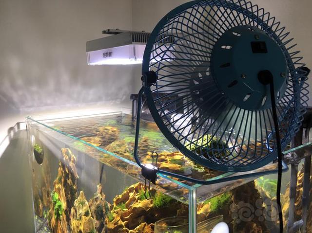 换了4台电风扇，终于知道怎样挑选了！希望大家不要和我一样吃亏