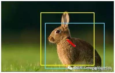 稀疏&集成的卷积神经网络学习
