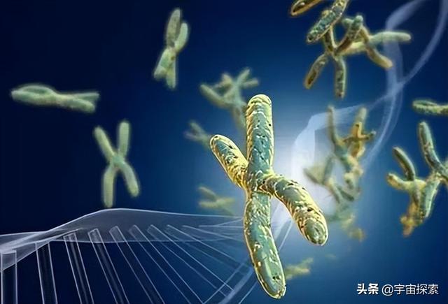 为什么人类不能实现永生？科学家：人类只是在给基因打工