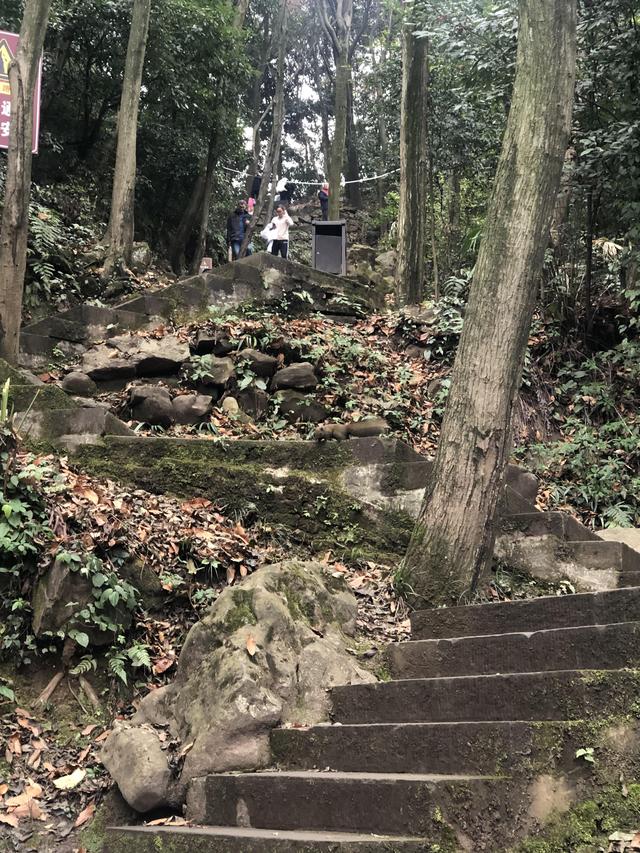 一不小心又成了夜遊~周末街子古鎮康道徒步到光嚴禅院~腳都走麻了