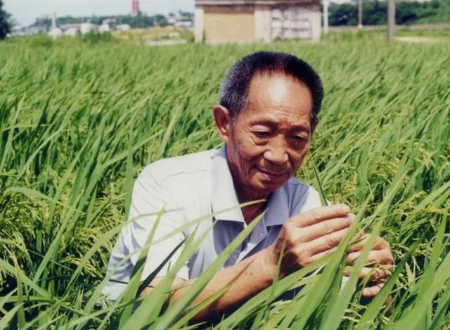 中国诺贝尔和平奖获得者中国诺贝尔和平奖获得者有哪些