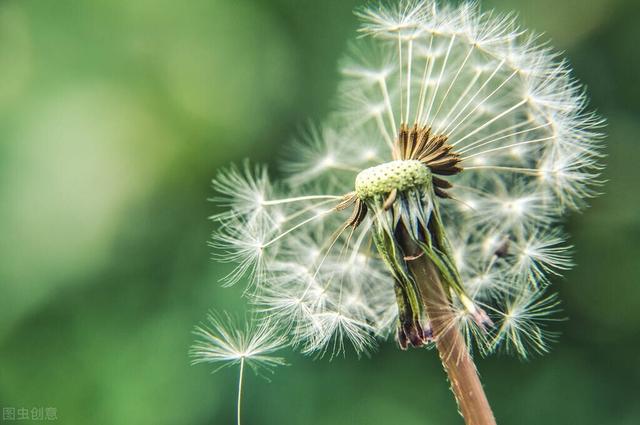 那些冤枉你的人比你更知道你有多冤枉「讽刺性极强的句子」