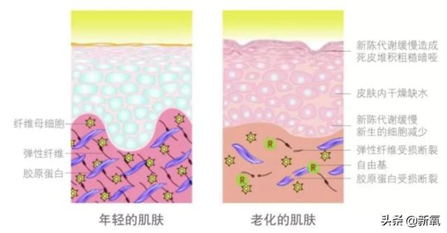 沃拉娜特旺萨莞