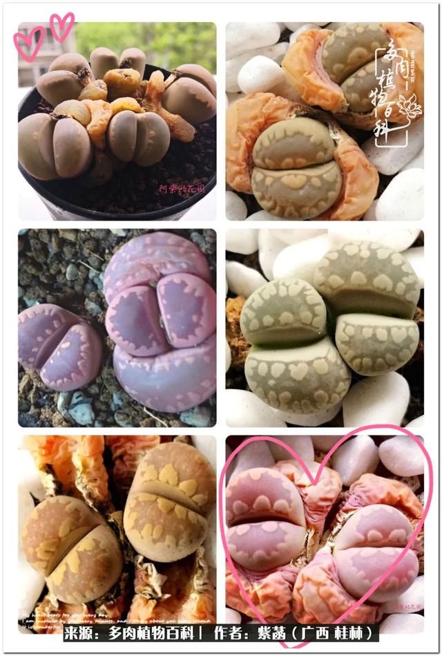 郑州新型泥土洗砂机