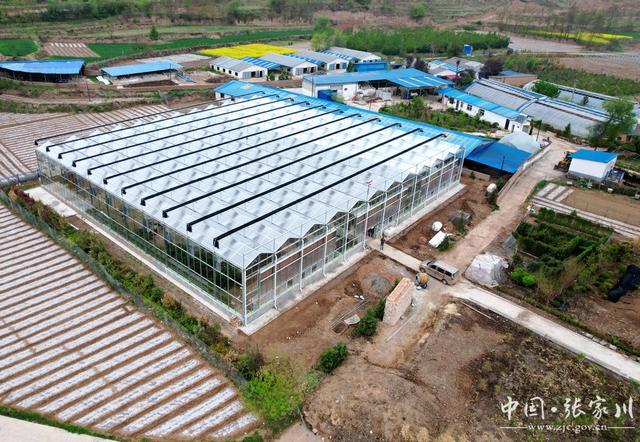 【奋进新征程 建功新时代——喜迎省第十四次党代会】大阳镇：花卉种植铺就乡村振兴路