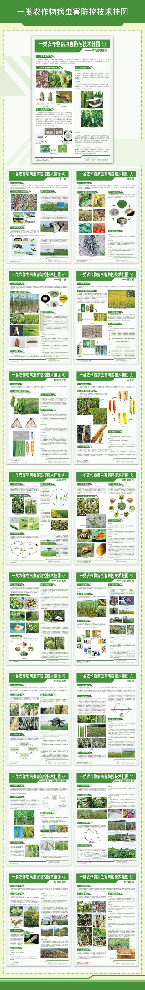 我国发布的一类农作物病虫害有哪些？怎样防控？6