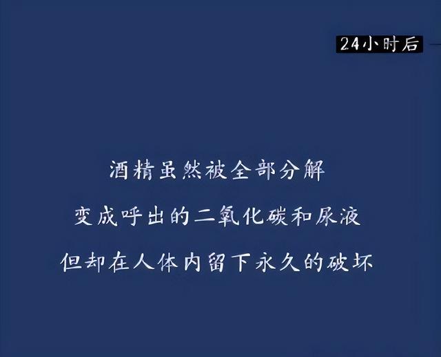 为什么要戒酒？科普：喝酒后人体24小时的变化，看完你还会喝酒吗