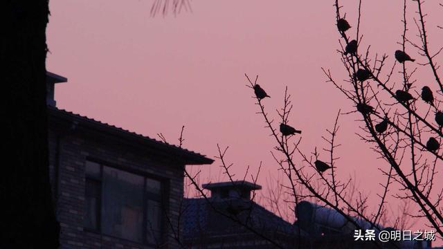 3月最后一天，“闭关”20天了！长春人啥时候能“出月子”？