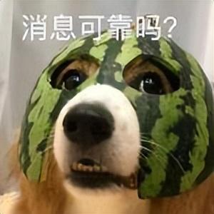 47岁林志玲产后首晒照！被日本老公家暴？错过言承旭的她幸福吗？