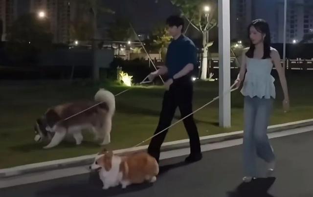 和相親對象一起遛狗，最能見人品？ - 