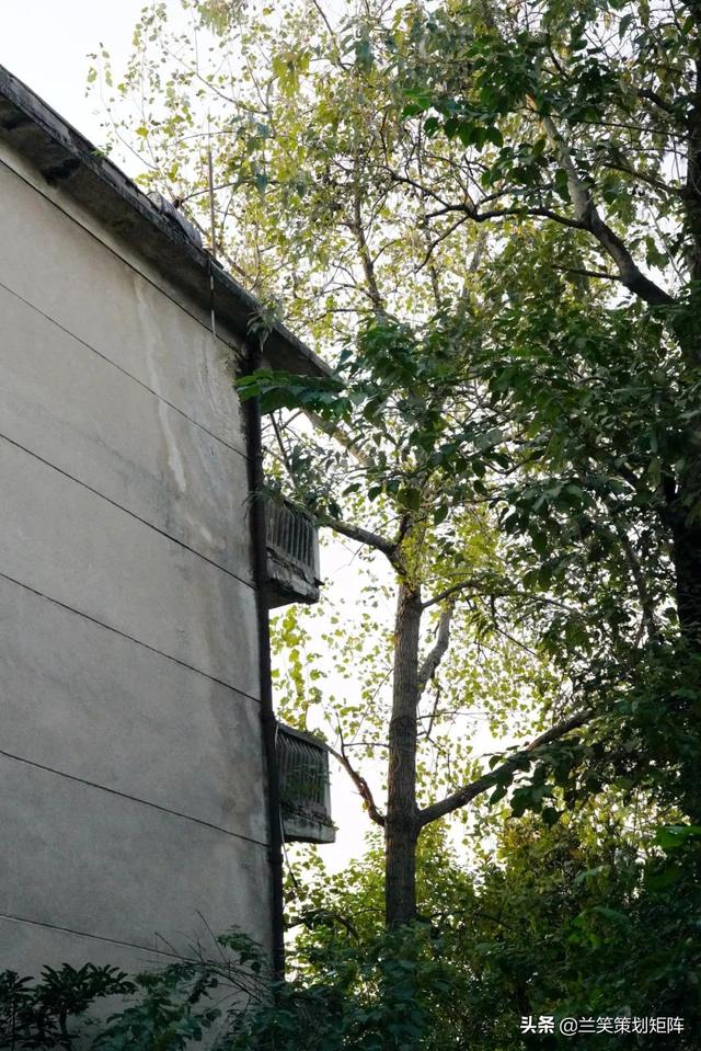 合肥水泥机械展