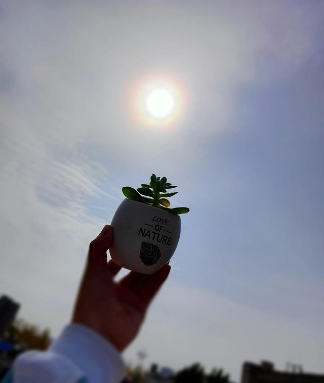 如何在熬夜加班后选择合适的大餐