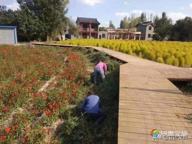 海南省梨子酒过滤机