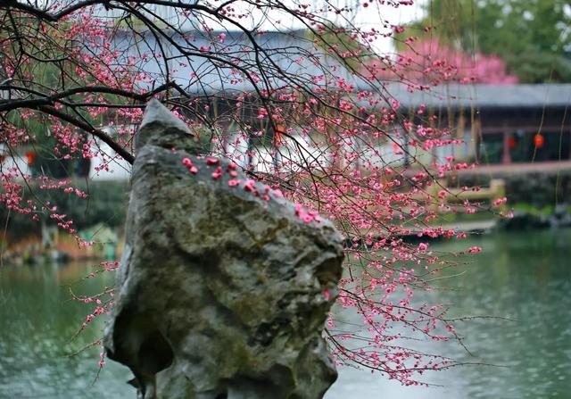 [微信智多星激活码]，微信说说如何改为全部可见