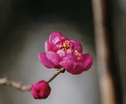 从前，日色很慢，相思却入骨