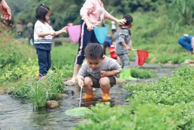 一座舊學校改造的木藝民宿，庭院玻璃湯泉、手工木作、溯溪撈魚