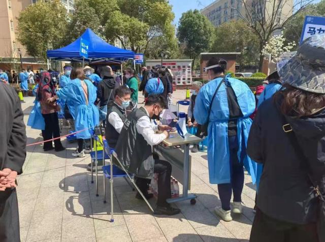 这两天家门口的中介买菜买疯了
