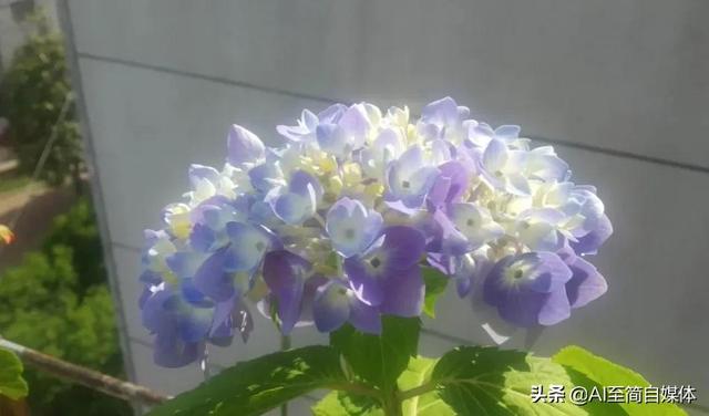 咱们女人要爱自己取悦自己，你若盛开，蝴蝶自来