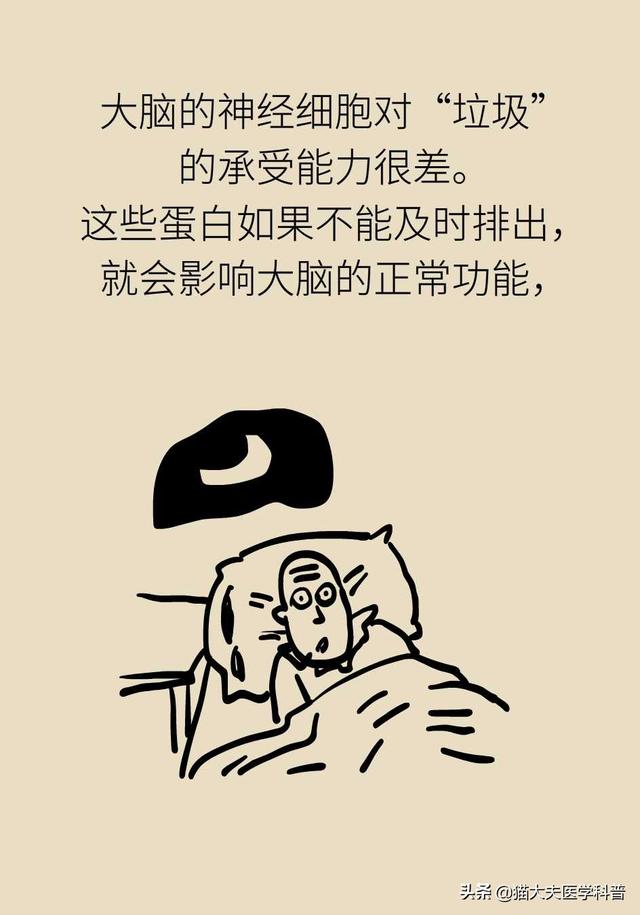 睡眠日丨睡不好的后果远比你想得更严重，你可能会变傻