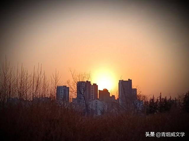 无恙 兰之韵 游子吟 日子 夕阳红（组合诗五首）