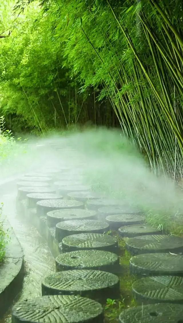 曲径通幽
