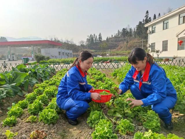今日春分，带你体验石化版“向往的生活”