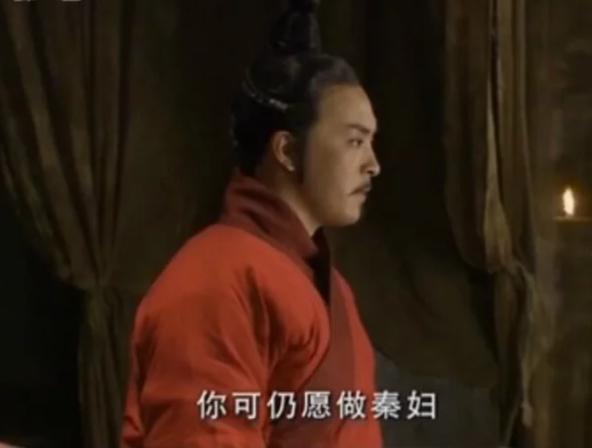 大秦帝国哪个电视剧比较经典（电视剧推荐看大秦帝国之纵横）(5)