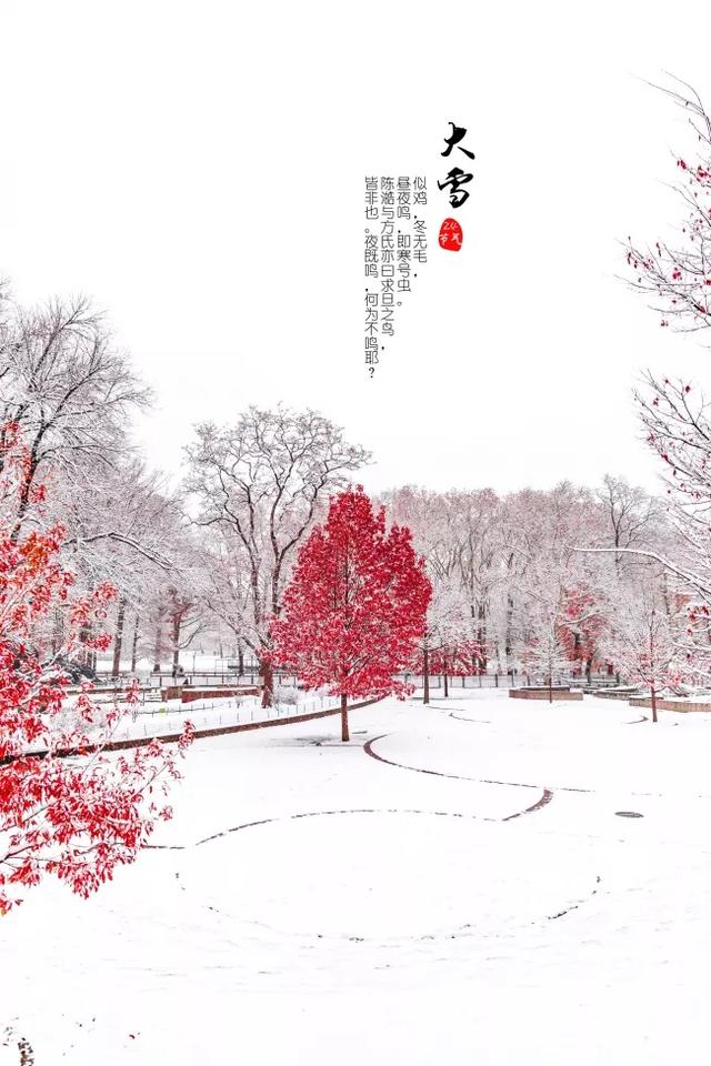 「2021.12.07」早安心语，大雪早上好祝福语图片带字，暖心的问候