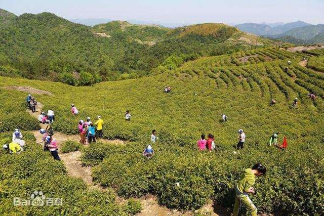 磐安旅游