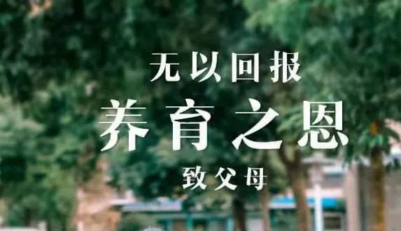 https://blog.sina.com.cn/s/blog_95b83d1401030ld8.html