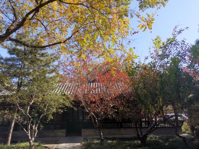 北京，缤紛的秋