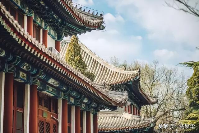 北大中文系教授上热搜，写116字微博有12处语病，教授：很努力了