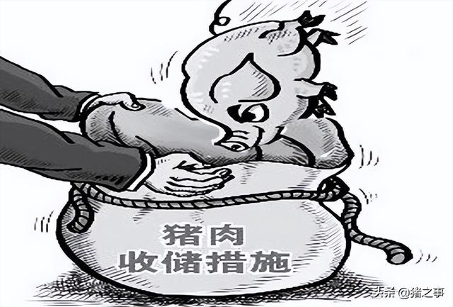 火力全开！猪价“冲天大涨”，多地猪价“破7冲8”，发生了啥？
