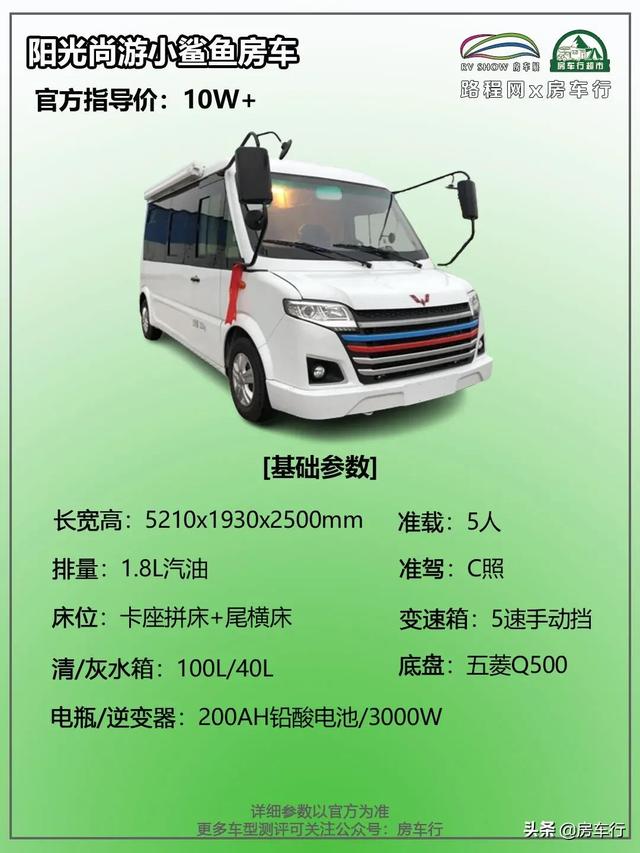 底栖小型鲨鱼