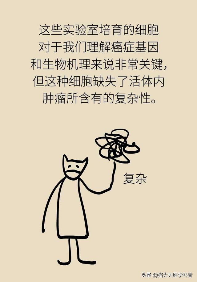 谈癌变色，这些治疗方法能够杀死癌细胞吗？
