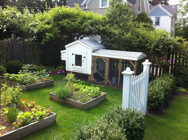 300平方花园庭院效果图图片
