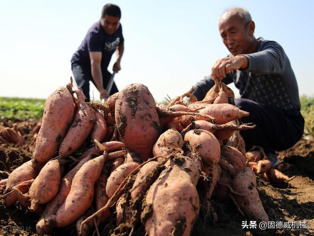 红薯打粉过滤机