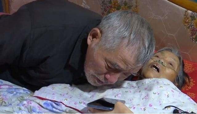 北大博士后拒见母亲最后一面，抛弃国籍消失20年，哥哥回应不怪他