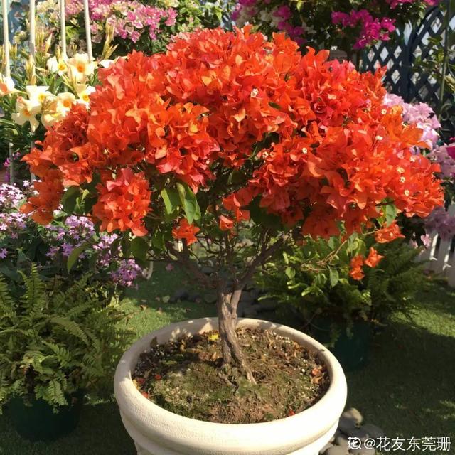 漳州鹅卵石制砂机厂家