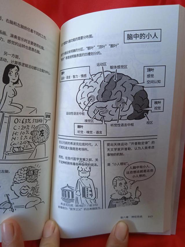 孩子了解自己身体，从这本有趣的书开始