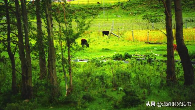 遇到小人不要慌，古代先贤早就给我们留下无穷的智慧，可轻松化之