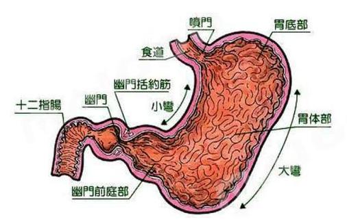 胃痛、胃胀，这8种常用药物，您了解吗？