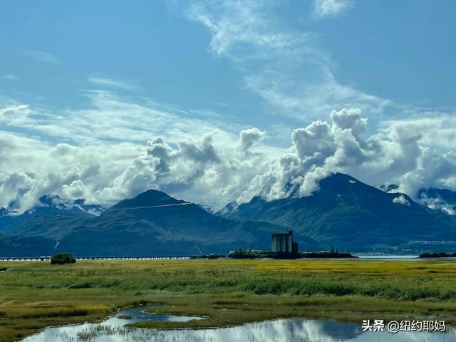 夢幻荒野阿拉斯加（14）Valdez看熊抓魚和三文魚洄遊