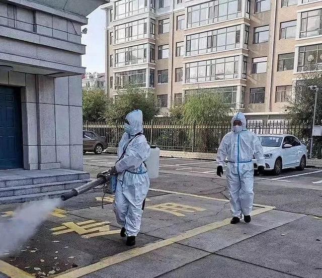 这，就是中国青年的样子