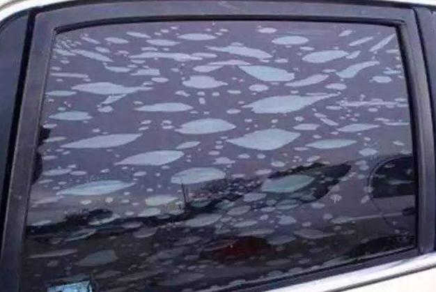 贴膜后几天可以开车窗洗车(车窗玻璃贴膜几天能洗车)