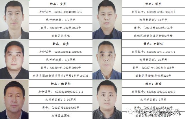 曝光! 武都区法院公布2022年第一批失信被执行人名单（172人）