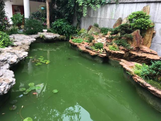 出售加压转鼓过滤机