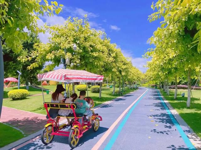 闽清印刷机械展价钱